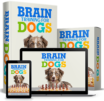 A full set of brain training materials to teach your dog obedience in a mentally stimulating way!