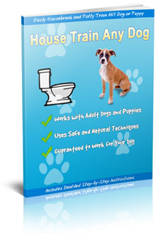 How to house train any dog in 7 days or less!
