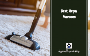 Best Hepa Vacuum.