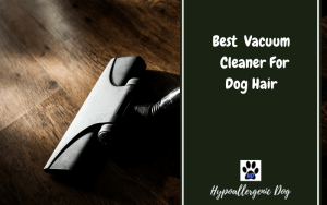 Best Vacuum Cleaner for Dog Hair