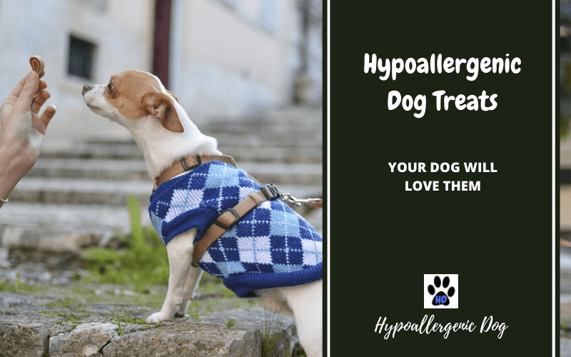 Hypoallergenic dog treats