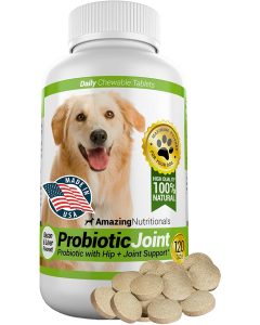probiotics-for-dogs-with-diarrhea-Amazing-Nutritionals-Probiotic-with-Hip-and-Joint-Support