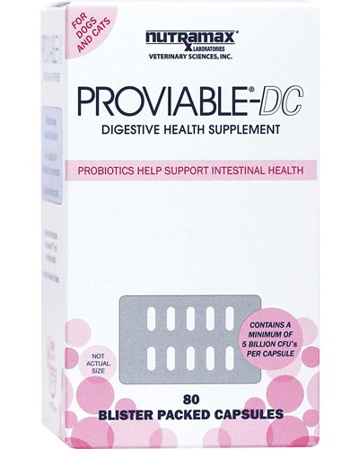 probiotics-for-dogs-with-diarrhea-Nutramax-Proviable-DC-Health-Supplement