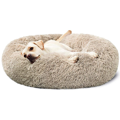 HACHIKITTY-Dog-Bed