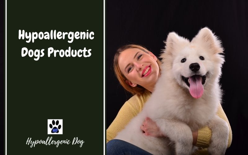 Hypoallergenic-dog-products.