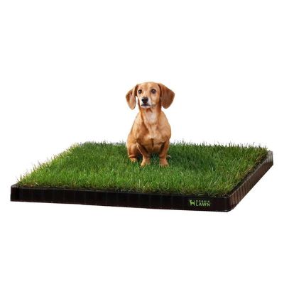 Doggie-lawn-dog-potty-grass