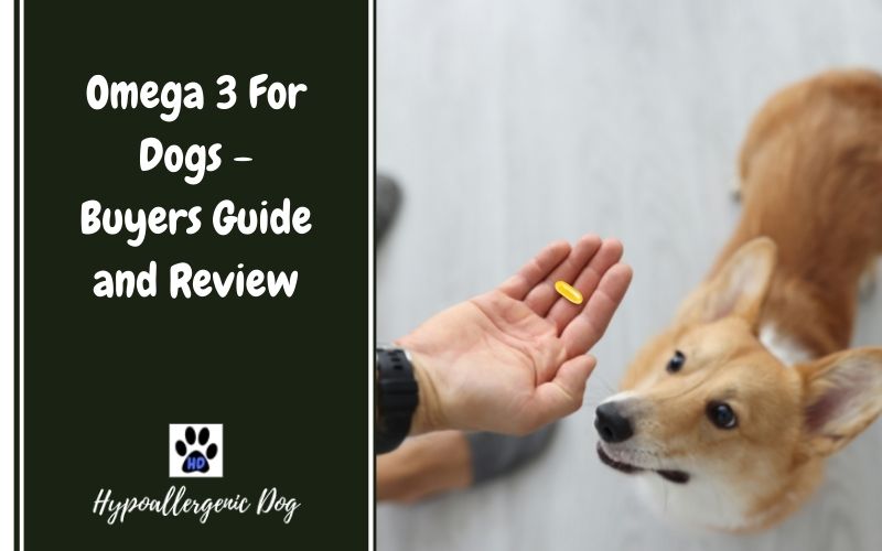 Omega 3 For Dogs.