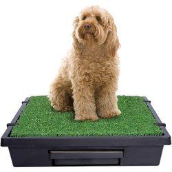 PetSafe-portable-dog-potty
