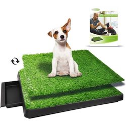 UOKEOGO-Dog-pad-training-grass-potty-with-tray