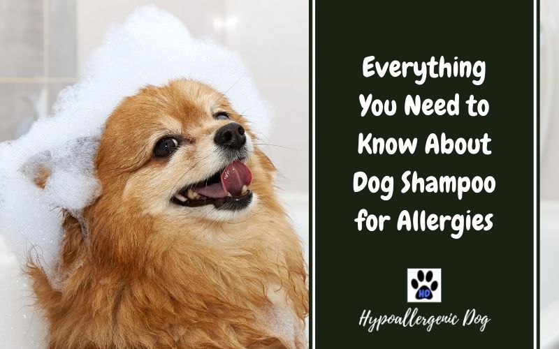Dog Shampoo for Allergies.