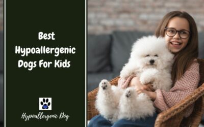 Best Hypoallergenic Dogs For Kids