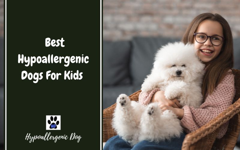 hypoallergenic dogs for kids.