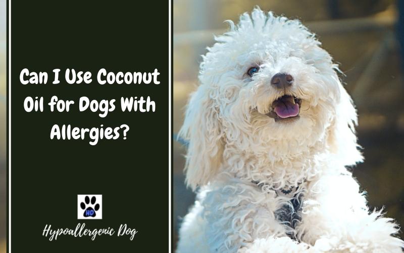 are dogs allergic to coconut oil.