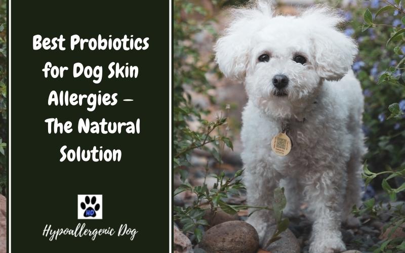 dog probiotics for skin allergies.