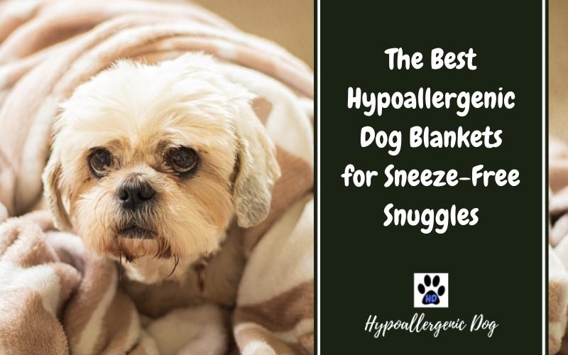 Best Hypoallergenic Dog Blankets