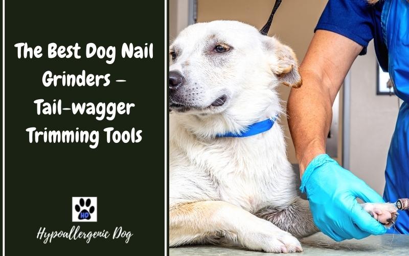 The Best Dog Nail Grinders — Tail-wagger Trimming Tools