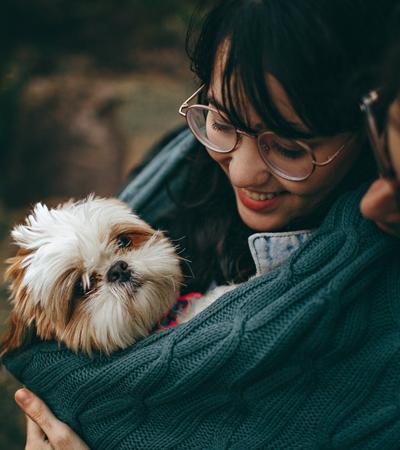 best hypoallergenic dogs for first-time owners shih tzu.