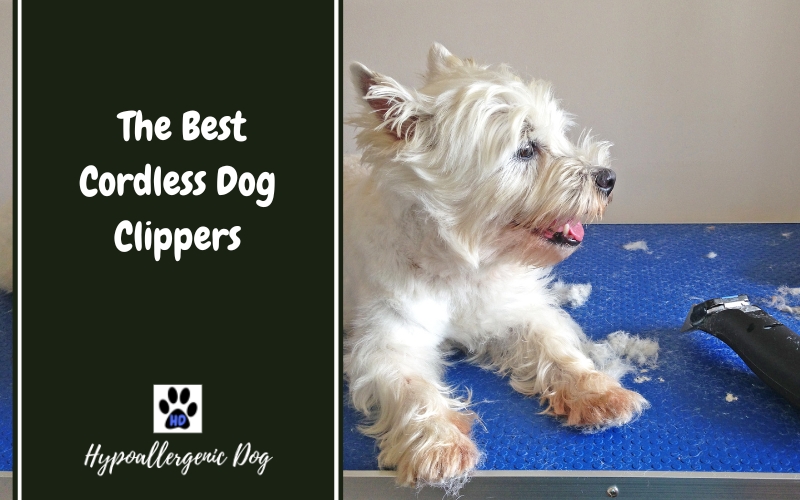 The Best Cordless Dog Clippers
