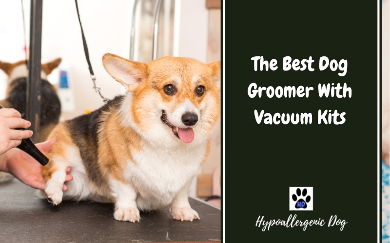 Best Dog Groomer with Vacuum Kits.