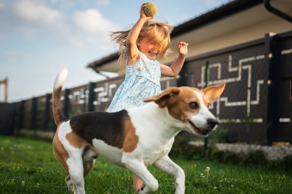 kid running with dog