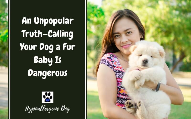 An Unpopular Truth—Calling Your Dog a Fur Baby Is Dangerous